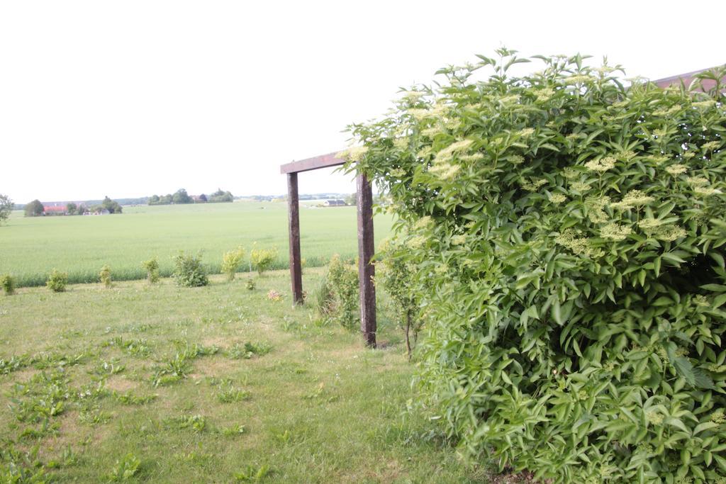 Hanksville Farm Svalöv Szoba fotó